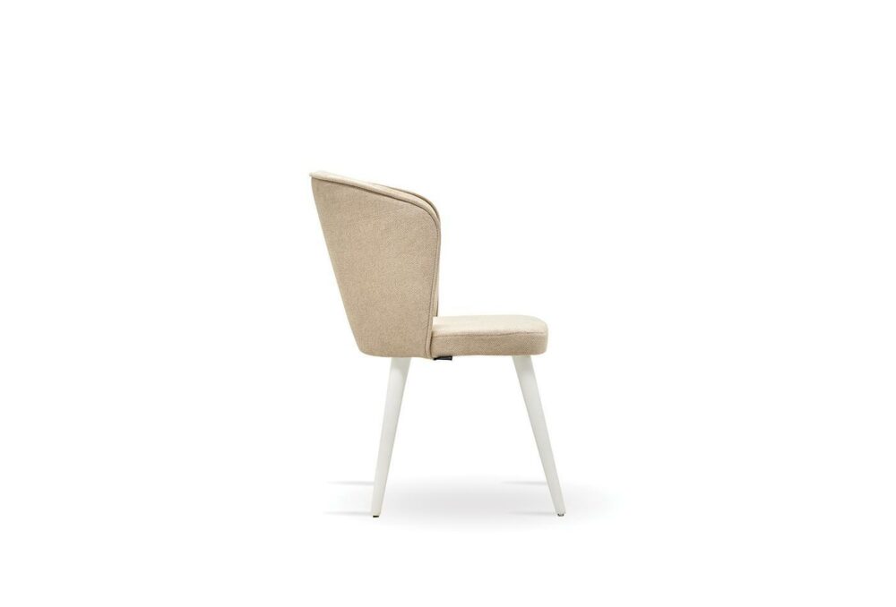 2584-01 legato