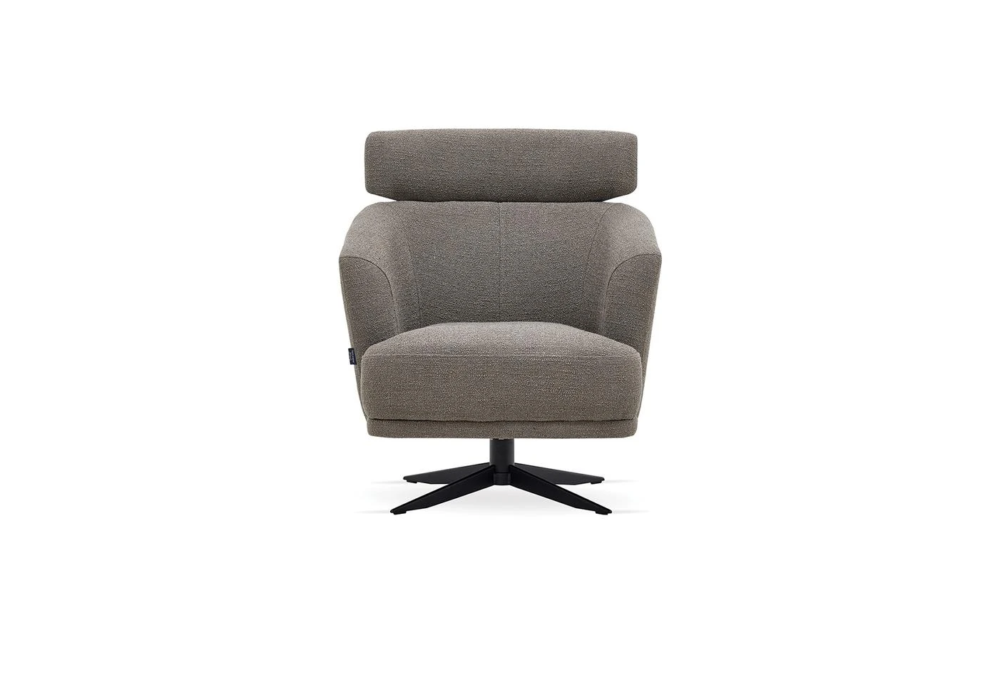 swan-2754-1