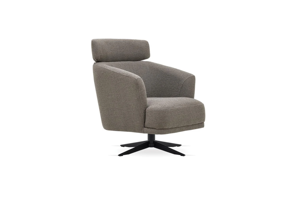 swan-2754