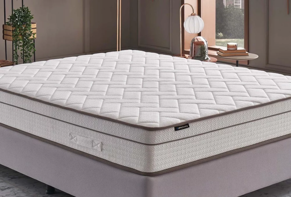 542d4073-f936-402c-bffd-2052330146dc size1684x950