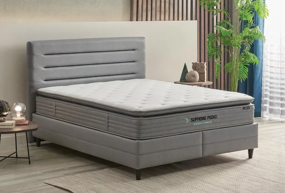8f277753-bd00-493f-af3a-4f92800a2706 size1684x950